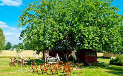 Heiraten im Sommer: Was hilft, wenn die Hitze kommt